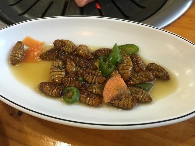 韓国で ポンテギ 蚕のさなぎ を食べてきました ヤマキヨの100円生活